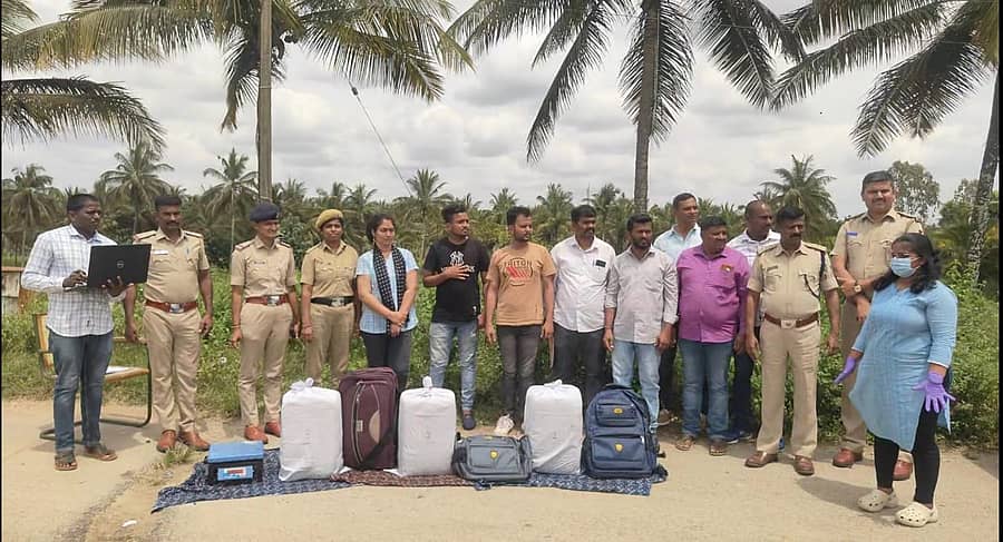 ಹಾಸನ ತಾಲ್ಲೂಕಿನ ಶಾಂತಿಗ್ರಾಮದಲ್ಲಿ ಗಾಂಜಾ ವಶಕ್ಕೆ ಪಡೆದಿರುವ ಪೊಲೀಸರು ಮೂವರನ್ನು ಬಂಧಿಸಿದ್ದಾರೆ