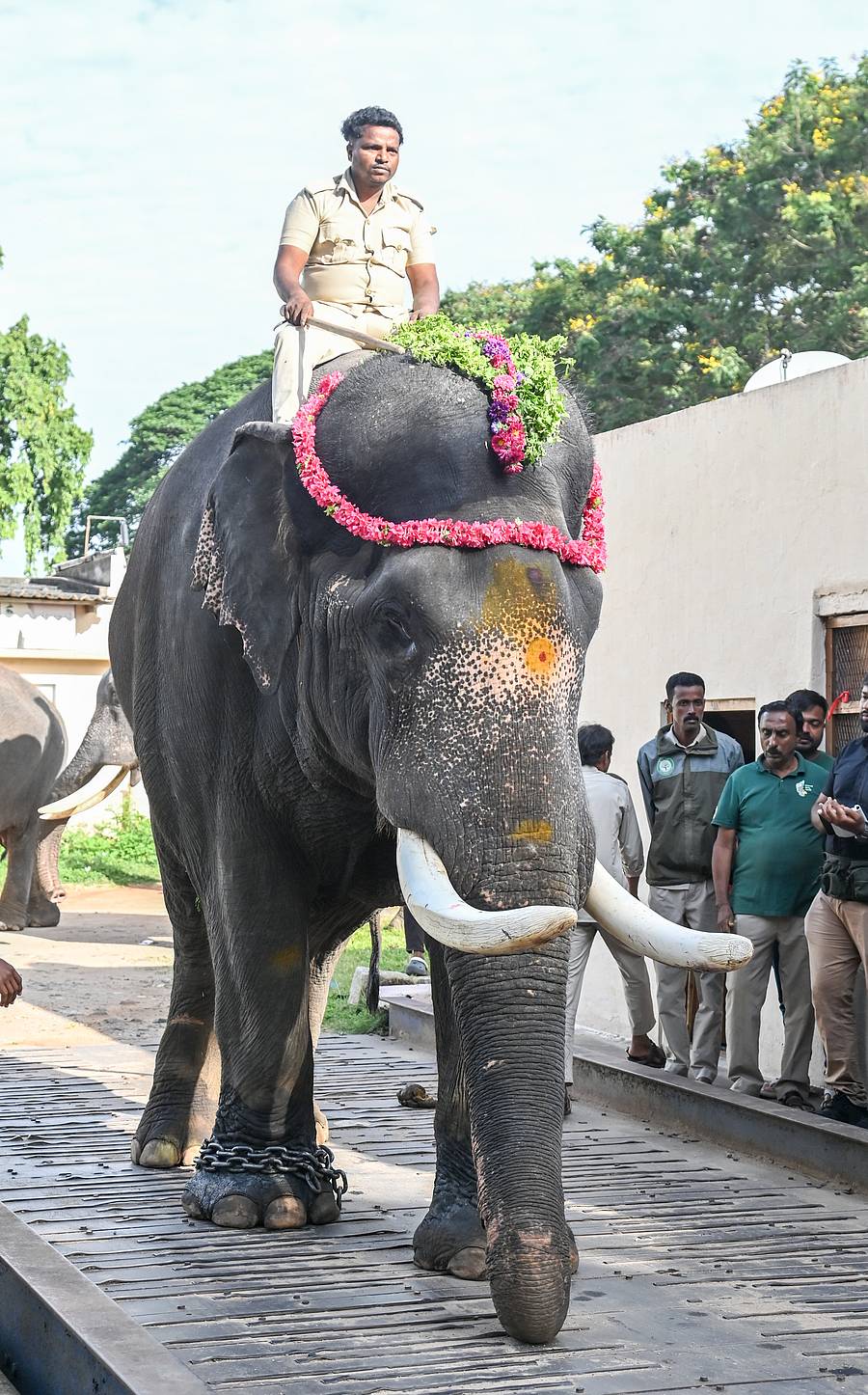 ಶ್ರೀಕಂಠ