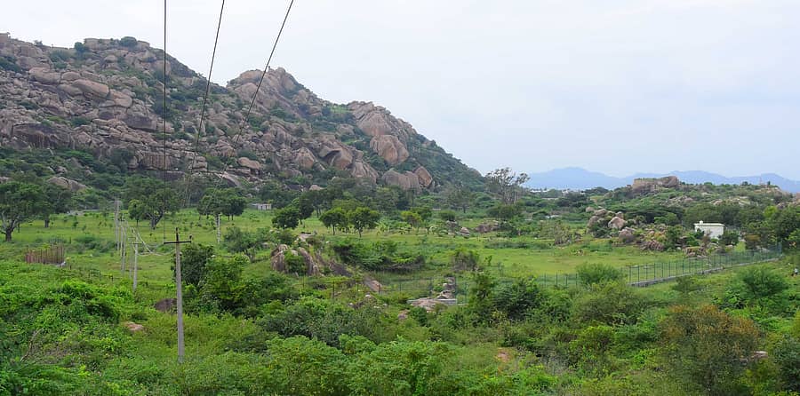 ತಿಮ್ಮಣ್ಣನಾಯಕನ ಕೆರೆ ಹಿಂಭಾಗ, ತೋಟಗಾರಿಕೆ ಇಲಾಖೆ ಸುಪರ್ದಿಯಲ್ಲಿರುವ ಜಾಗದ ನೋಟ
ಪ್ರಜಾವಾಣಿ ಚಿತ್ರ: ಚಂದ್ರಪ್ಪ ವಿ.