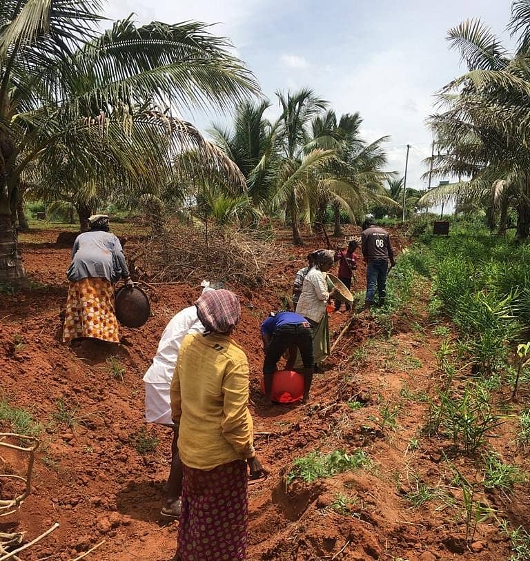 ಚೆನ್ನಸೋಗೆ ಗ್ರಾಮದಲ್ಲಿ ನರೇಗಾ ಕೂಲಿ ಕಾರ್ಮಿಕರು ನೀರುಗಾಲುವೆ ನಿರ್ಮಾಣದಲ್ಲಿ ತೊಡಗಿದ್ದಾರೆ.