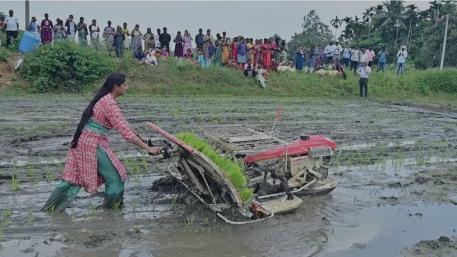 <div class="paragraphs"><p>ಯಾಂತ್ರೀಕೃತ ವಿಧಾನದಲ್ಲಿ ಭತ್ತದ ನಾಟಿ ಮಾಡುತ್ತಿರುವ ಮಂಡ್ಯ ಜಿ.ಪಂ. ಸಿಇಓ ನಂದಿನಿ ಕೆ.ಆರ್.</p></div>
