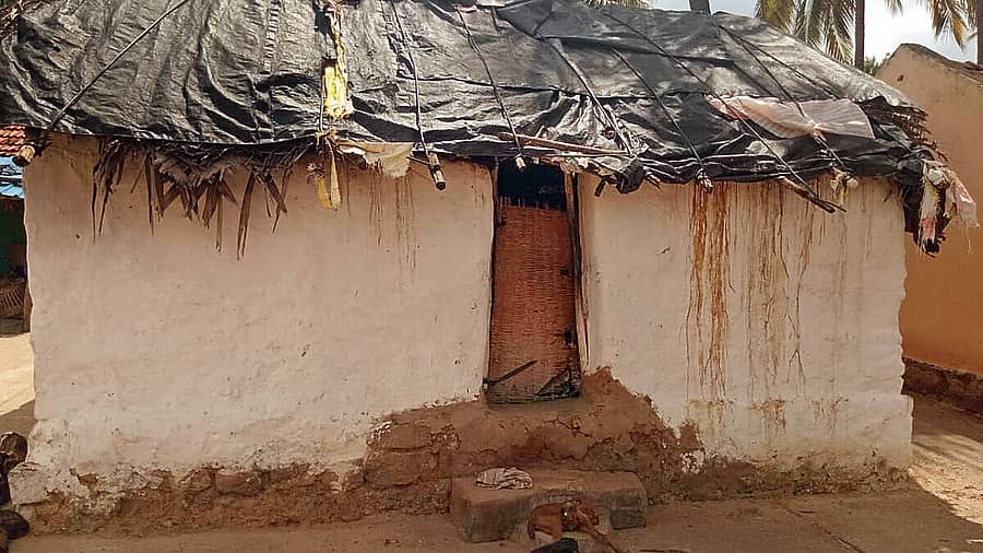 ಹನೂರು ತಾಲ್ಲೂಕಿನಲ್ಲಿರುವ ಆದಿವಾಸಿಗಳ ಜೋಪಡಿ