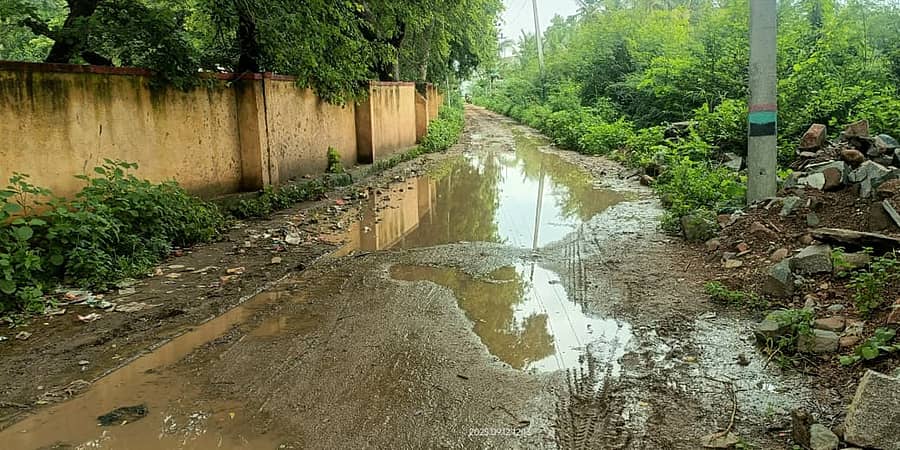 ಕವಿತಾಳ ಸಮೀಪದ ಪಾಮನಕಲ್ಲೂರು ಗ್ರಾಮದ ಜನತಾ ಕಾಲೊನಿಯಲ್ಲಿ ರಸ್ತೆ ಸಂಪೂರ್ಣ ಹಾಳಾಗಿರುವುದು