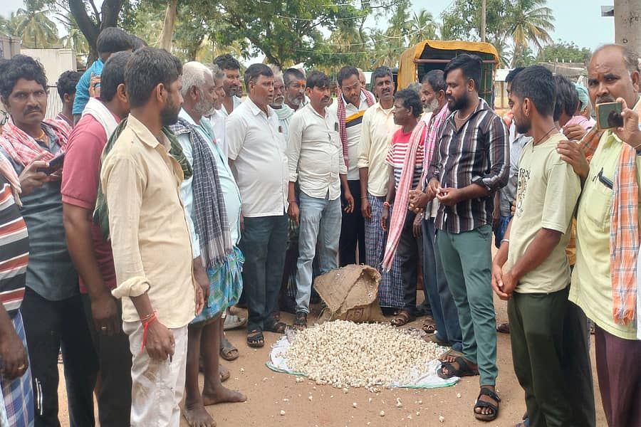 ಬೆಳ್ಳುಳ್ಳಿ ಹರಾಜನ್ನು ಬಂದ್ ಮಾಡಿದ್ದನ್ನು ಖಂಡಿಸಿ ಲಕ್ಷ್ಮೇಶ್ವರದ ಎಪಿಎಂಸಿ ಆವರಣದಲ್ಲಿ ರೈತರು ಬೆಳ್ಳುಳ್ಳಿ ಸುರಿದು ಶನಿವಾರ ಪ್ರತಿಭಟನೆ ನಡೆಸಿದರು