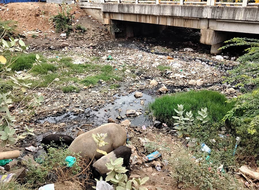 ಧರ್ಮಪುರದ ಪ್ರಧಾನ ರಸ್ತೆಗೆ ಹೊಂದಿಕೊಂಡಿರುವ ಕೆರೆ ಕೋಡಿ ಜಾಗದಲ್ಲಿ ಸಂಗ್ರಹವಾಗಿರುವ ಪ್ಲಾಸ್ಟಿಕ್ ತ್ಯಾಜ್ಯ