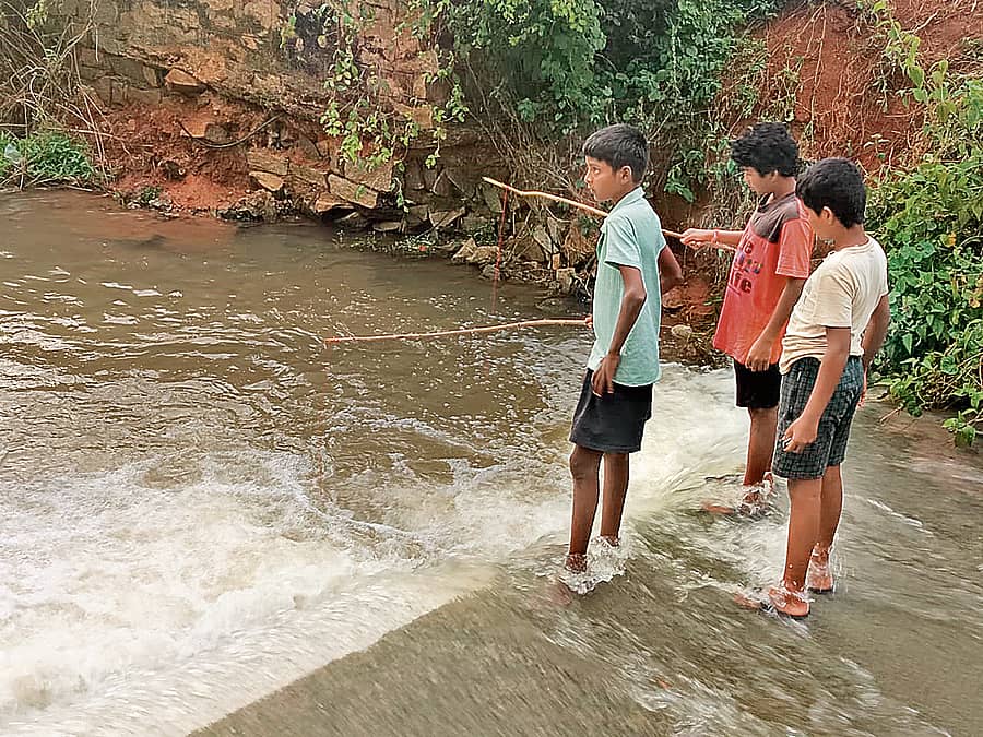 ಈ ಜಾಗದಲ್ಲಿ ಮೀನು ಸಿಗ್ತವೆ ಕನ್ಲಾ...