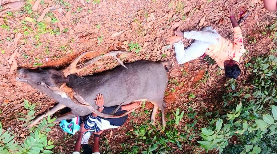 <div class="paragraphs"><p>ಕುಂದಾಪುರ ತಾಲ್ಲೂಕಿನ ಕಮಲಶಿಲೆ ತಾರೆಕೊಡ್ಲು ಎಂಬಲ್ಲಿ ಕಡವೆ ಡಿಕ್ಕಿ ಹೊಡೆದು ಬೈಕ್ ಸವಾರ ಮೃತಪಟ್ಟಿದ್ದಾರೆ</p></div>