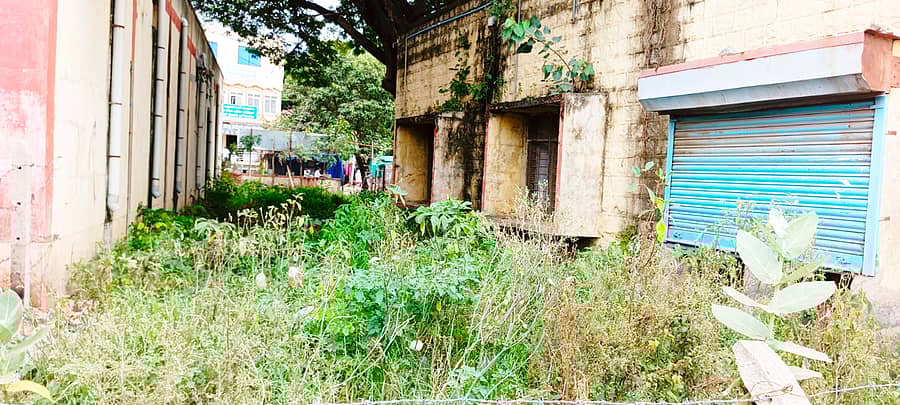 ನರೇಗಲ್‌ ಬಸ್‌ ನಿಲ್ದಾಣದ ಕ್ಯಾಂಟೀನ್‌ ಪಕ್ಕದಲ್ಲಿ ಬೆಳೆದಿರುವ ಹುಲ್ಲು ಹಾಗೂ ಗಿಡಗಳು