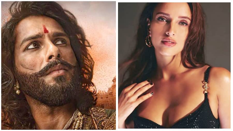 <div class="paragraphs"><p>ಶಾಹೀದ್ ಕಪೂರ್– ತೃಪ್ತಿ ಧಿಮ್ರಿ</p></div>