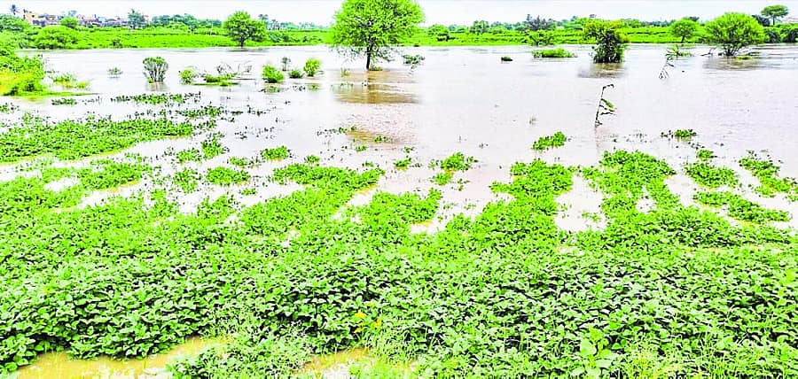 <div class="paragraphs"><p>ಹುಲಸೂರ ಹೊರವಲಯದಲ್ಲಿರುವ ಮಾಂಜ್ರಾ ನದಿಯ ಪಕ್ಕದ ಜಮೀನಿನಲ್ಲಿ ನೀರು ನಿಂತಿರುವುದು</p></div>