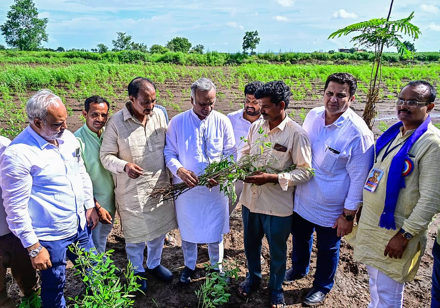 ಕಲಬುರಗಿ ಜಿಲ್ಲೆಯಲ್ಲಿ ಇತ್ತೀಚಿಗೆ ಬಿದ್ದ ಮಳೆಯಿಂದ ಬೆಳೆ ಹಾನಿಯಾದ ಕೆರಿಭೋಸಗಾ ಗ್ರಾಮದ ಹೊಲಕ್ಕೆ ಸೋಮವಾರ ಜಿಲ್ಲಾ ಉಸ್ತುವಾರಿ ಸಚಿವ ಪ್ರಿಯಾಂಕ್ ಖರ್ಗೆ ಭೇಟಿ ನೀಡಿ ಪರಿಶೀಲಿಸಿದರು. ಸಮದ್ ಪಟೇಲ್, ಮಜಹರ್ ಆಲಂ ಖಾನ್, ಸಂತೋಷ ಪಾಟೀಲ ಇತರರು ಭಾಗವಹಿಸಿದ್ದರು
ಪ್ರಜಾವಾಣಿ ಚಿತ್ರ