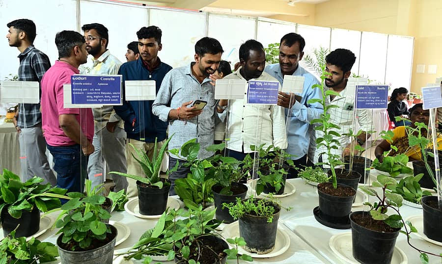 ಧಾರವಾಡದ ಕೃಷಿ ವಿಶ್ವವಿದ್ಯಾಲಯದಲ್ಲಿ ನಡೆಯುತ್ತಿರುವ ಕೃಷಿ ಮೇಳದಲ್ಲಿ ಪ್ರದರ್ಶನಕ್ಕಿಟ್ಟ ಆಯುರ್ವೇದ ಸಸಿಗಳನ್ನು ಜನರು ವೀಕ್ಷಿಸಿದರು