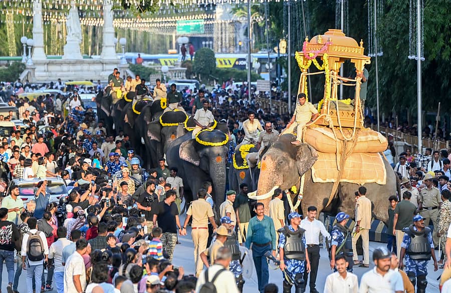 ಮೈಸೂರಿನಲ್ಲಿ ಗಜಪಡೆಯ ಕ್ಯಾಪ್ಟನ್‌ ‘ಅಭಿಮನ್ಯು’ಗೆ ಸೋಮವಾರ ಮರದ ಅಂಬಾರಿ ತಾಲೀಮು ನಡೆಯಿತು. ಅವನ ಕುಮ್ಕಿ ಆನೆಗಳಾದ ಹೇಮಾವತಿ ಹಾಗೂ ಕಾವೇರಿ ಜೊತೆ ಹೆಜ್ಜೆ ಹಾಕಿದ ಗಜಪಡೆಯನ್ನು ನಾಗರಿಕರು ಕಣ್ತುಂಬಿಕೊಂಡರು  ಪ್ರಜಾವಾಣಿ ಚಿತ್ರ: ಅನೂಪ್ ರಾಘ ಟಿ.