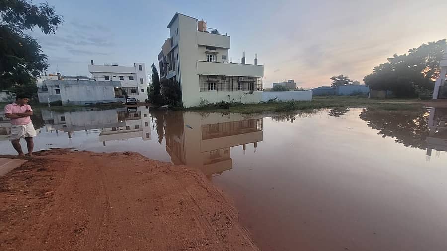 <div class="paragraphs"><p>ಮಸ್ಕಿಯಲ್ಲಿ  ಮಹಾ ಮಳೆಗೆ ವಾರ್ಡ್ 1 ರ ಬಸವೇಶ್ವರ ನಗರದಲ್ಲಿ ನೀರು ನಿಂತು ಕೆರೆಯಂತೆ&nbsp;ಆಗಿರುವುದು</p><p></p></div>