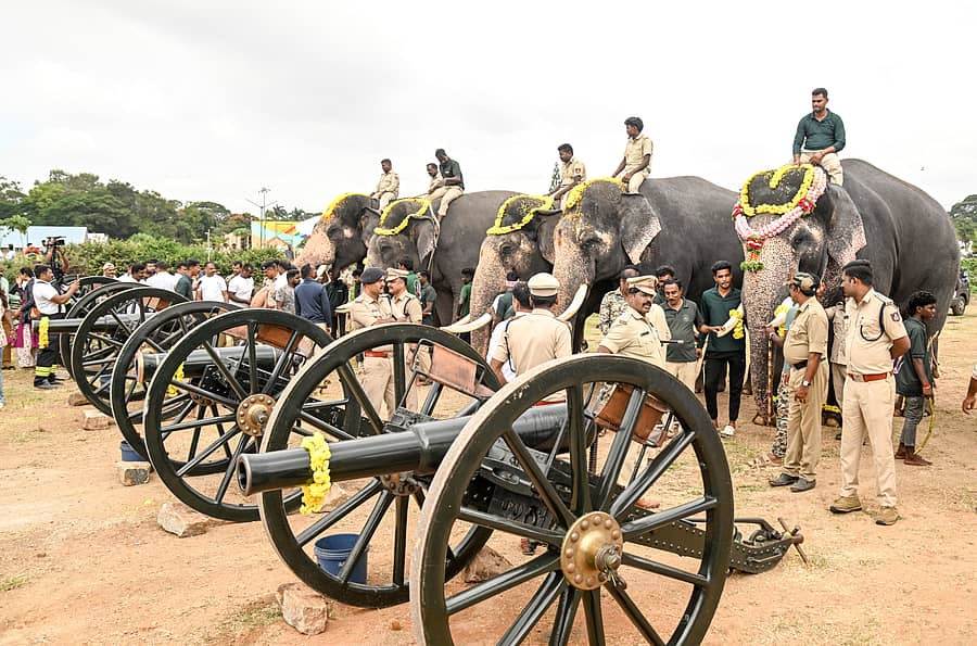 ಮೈಸೂರಿನ ದಸರಾ ವಸ್ತುಪ್ರದರ್ಶನದ ವಾಹನ ನಿಲ್ದಾಣದ ಅಂಗಳದಲ್ಲಿ ಸೋಮವಾರ ನಡೆದ ಕುಶಾಲತೋಪು ತಾಲೀಮಿನ ನಂತರ ಫಿರಂಗಿ ಬಳಿ ಬಂದ ಆನೆಗಳು  ಪ್ರಜಾವಾಣಿ ಚಿತ್ರ: ಅನೂಪ್‌ ರಾಘ ಟಿ.