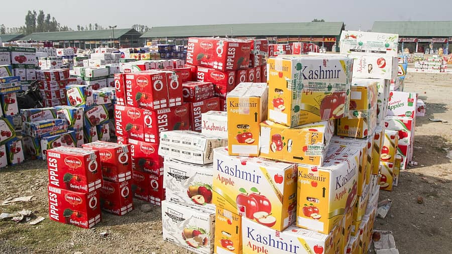 <div class="paragraphs"><p>ಸಾಗಣೆಯಾಗದೆ ಉಳಿದ ಕಾಶ್ಮೀರ ಸೇಬು</p></div>