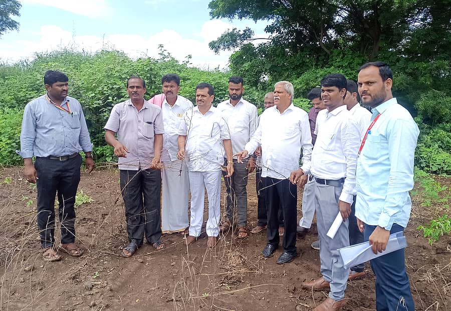 ಕೆಂಭಾವಿ ಸಮೀಪದ ಆಲಾಳ ಗ್ರಾಮದ ಜಮೀನಿನಲ್ಲಿ ಅತಿವೃಷ್ಟಿಯಿಂದ ಹಾನಿಯಾದ ತೊಗರಿ ಬೆಳೆಯನ್ನು ಜಿಲ್ಲಾ ಉಸ್ತುವಾರಿ ಸಚಿವ ಶರಣಬಸಪ್ಪ ದರ್ಶನಾಪುರ ಭೇಟಿ ನೀಡಿ ಪರಿಶೀಲಿಸಿದರು