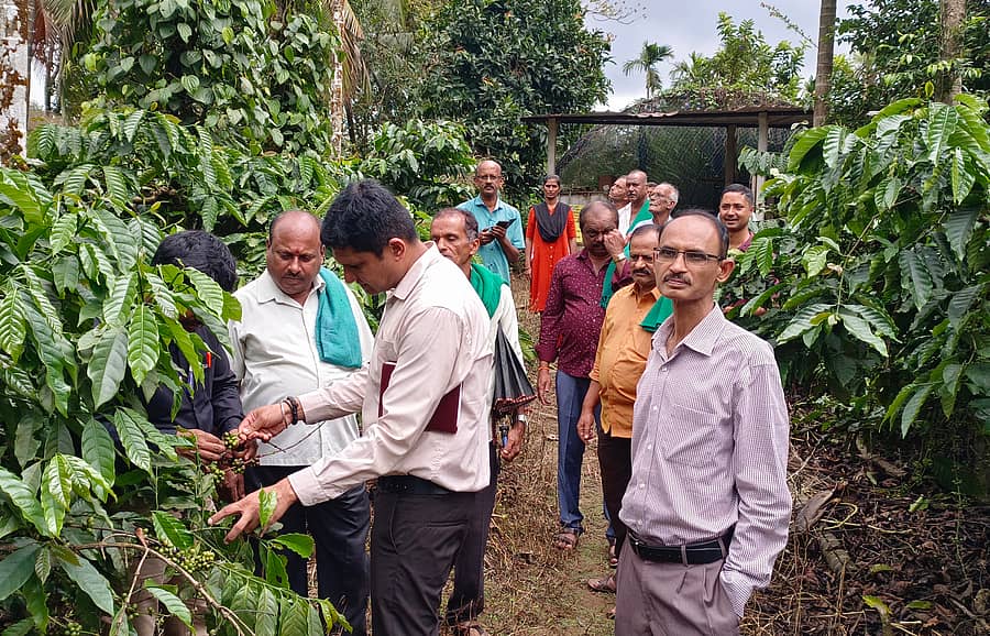 ಶೃಂಗೇರಿ ತಾಲ್ಲೂಕಿನ ಕೆರೆಮನೆಯಲ್ಲಿ ಅತಿವೃಷ್ಟಿಯಿಂದ ಹಾನಿಗೊಳಗಾದ ತೋಟವನ್ನು ವಿಜ್ಞಾನಿಗಳ ತಂಡ ಪರಿಶೀಲನೆ ನಡೆಸಿತು