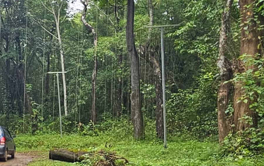 ಟೆಂಟಕಲ್ ಬೇಲಿ