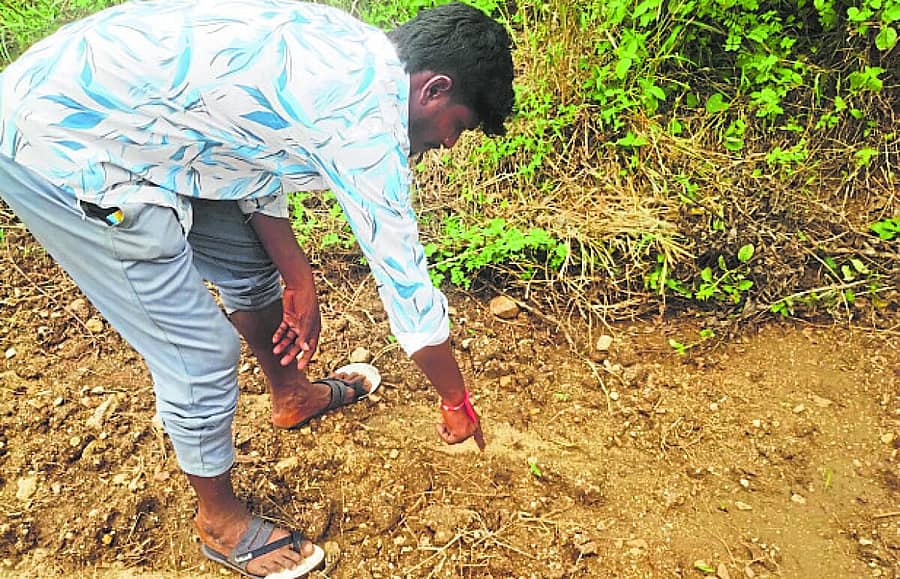 <div class="paragraphs"><p>ಜಮೀನಿನಲ್ಲಿ ಚಿರತೆ ಹೆಜ್ಜೆ ಗುರುತು ತೋರಿಸಿದ ಯುವಕ ಮಂಜುನಾಥ ಕೊಲ್ಲೂರು</p></div>