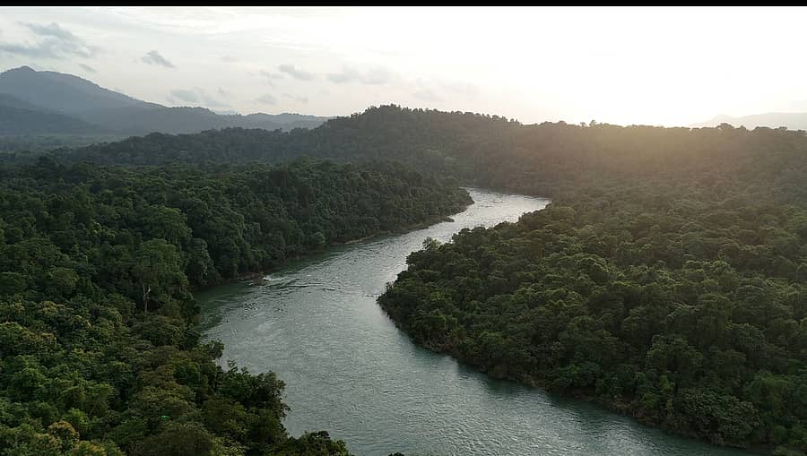 ದಟ್ಟ ಅರಣ್ಯದ ನಡುವೆ ಹರಿಯುತ್ತಿರುವ ಶರಾವತಿ ನದಿ