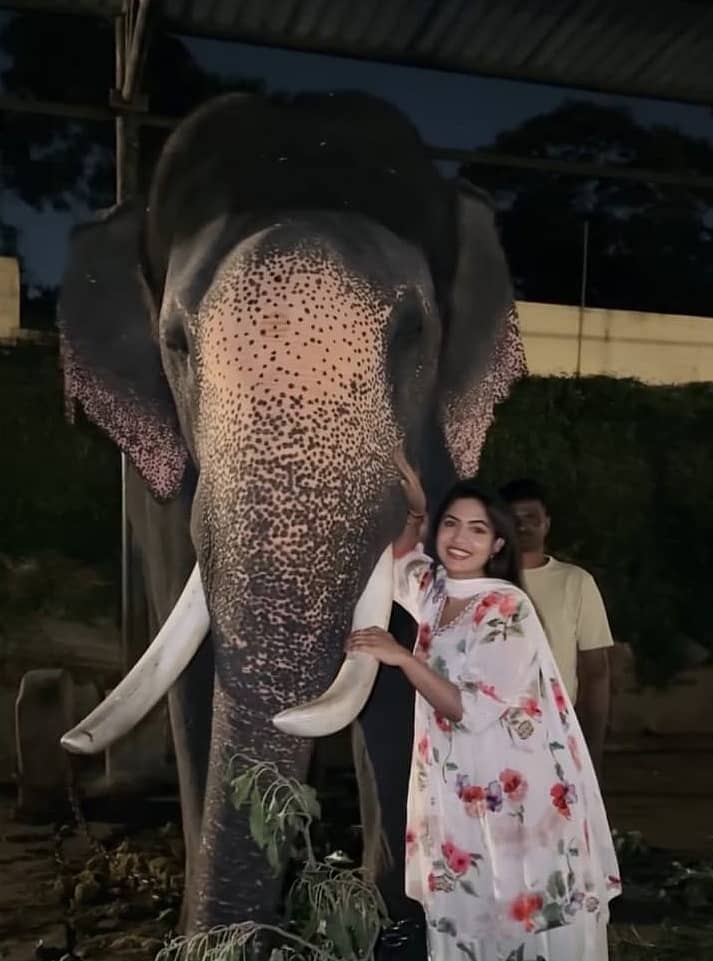 ಮೈಸೂರಿನ ಅರಮನೆ ಆವರಣದಲ್ಲಿ ವಾಸ್ತವ್ಯ ಹೂಡಿರುವ ದಸರಾ ಜಂಬೂಸವಾರಿಯಲ್ಲಿ ಪಾಲ್ಗೊಲ್ಲಲಿರುವ ಆನೆಗಳೊಂದಿಗೆ ಇಲಾಖೆಯ ಅನುಮತಿ ಪಡೆಯದೆ ಯುವತಿಯೊಬ್ಬರು ಫೊಟೊ ತೆಗೆಸಿಕೊಂಡಿರುವುದು