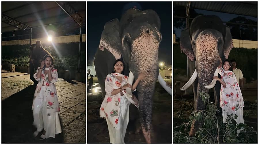 <div class="paragraphs"><p>ದಸರಾ ಆನೆ ತಬ್ಬಿಕೊಂಡು ರೀಲ್ಸ್ ಮಾಡಿದ ಯುವತಿ: ಅರಣ್ಯ ಇಲಾಖೆಯಿಂದ ಕೇಸ್</p></div>