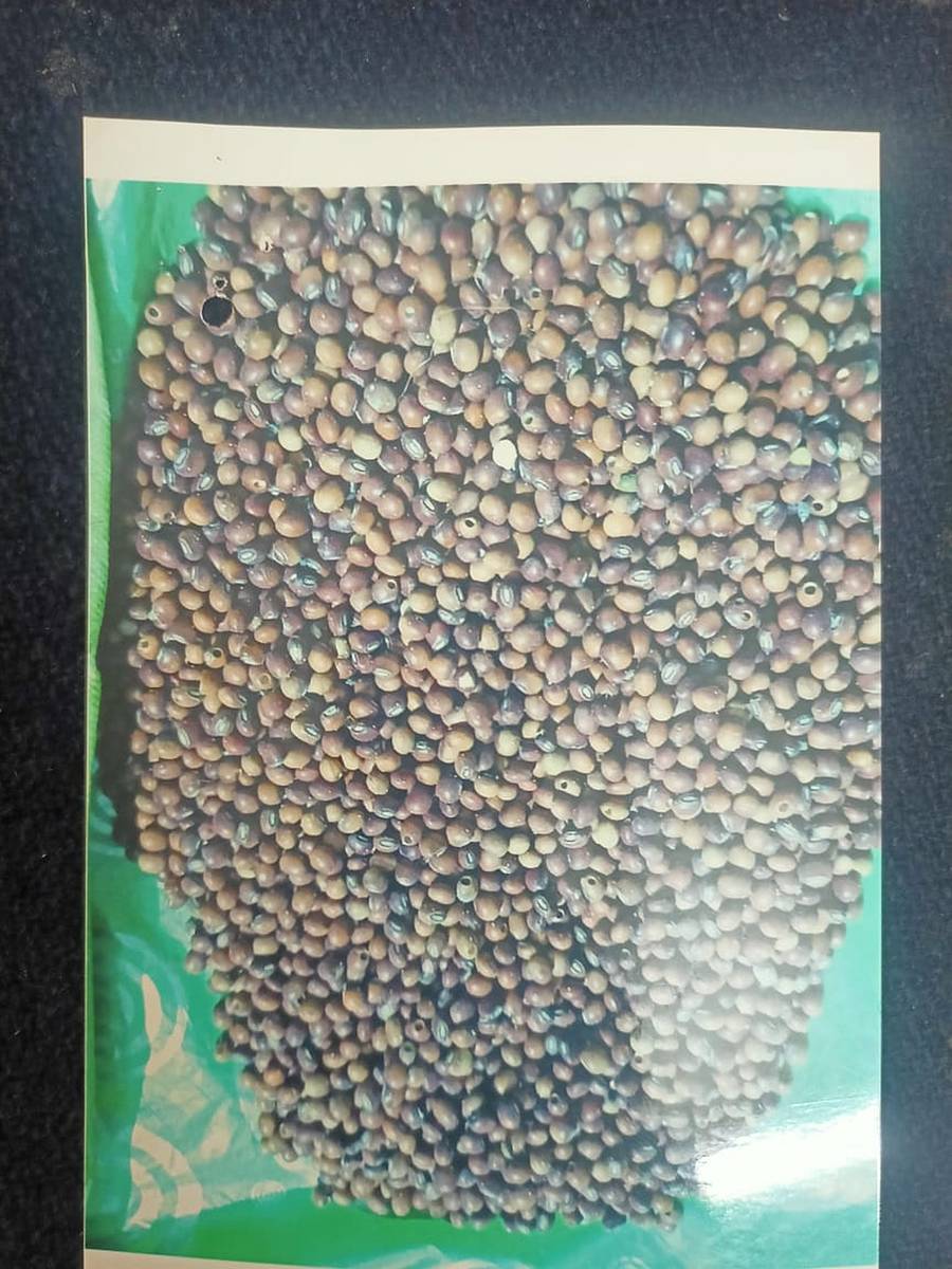 ಕಳಪೆ ತೊಗರಿ ಬೀಜ