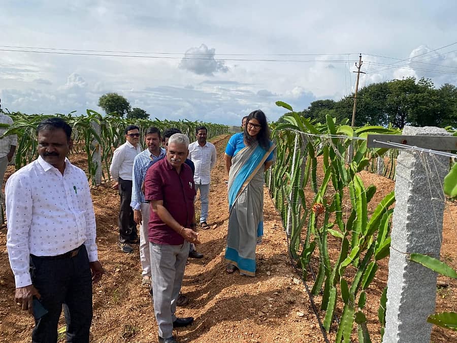 ವಿಜಯನಗರ ಜಿಲ್ಲೆಯ ವಿವಿಧ ಗ್ರಾಮೀಣ ಪ್ರದೇಶಗಳಿಗೆ ಕೇಂದ್ರದ ತಂಡದ ಸದಸ್ಯರು ಭೇಟಿ ನೀಡಿದರು