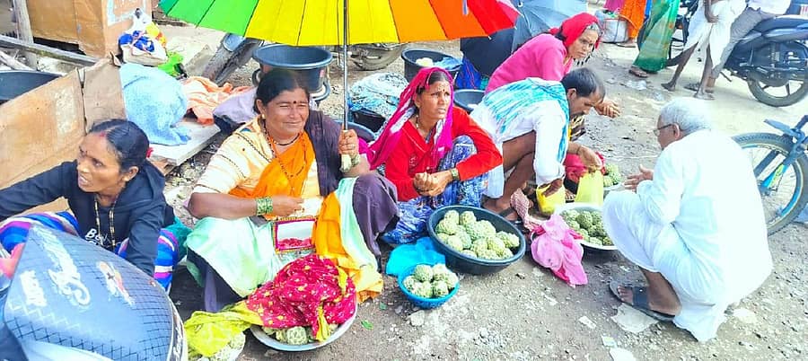 ಸೇಡಂ ಪಟ್ಟಣದ ಬಸ್ ನಿಲ್ದಾಣದ ಎದುರುಗಡೆ ಸೀತಾಫಲ ಹಣ್ಣು ಮಾರಾಟದಲ್ಲಿ ತೊಡಗಿರುವ ತಾಂಡಾ ಮಹಿಳೆಯರು