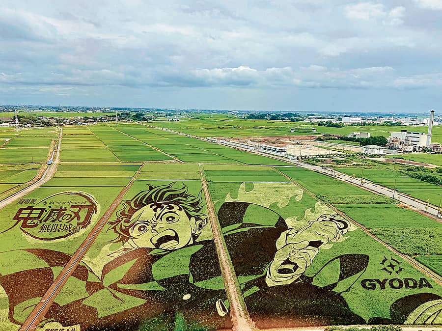 ಭತ್ತದ ಗದ್ದೆಯಲ್ಲಿ ಮೂಡಿಬಂದ ‘ಡೀಮನ್‌ ಸ್ಲೇಯರ್‌ ತಂಜಿರೊ’