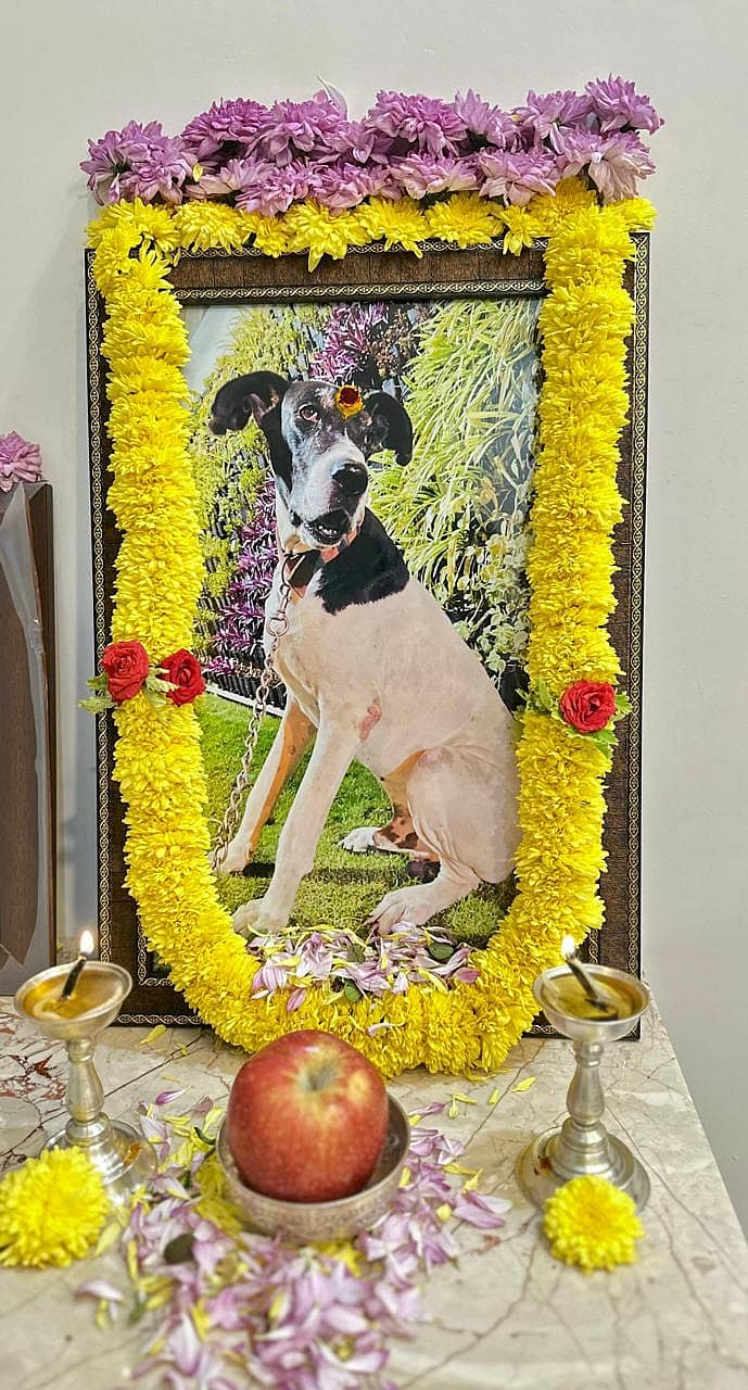  ಕದರಪ್ಪ ಅವರು ಮೃತ ನಾಯಿಗೆ ಪಿತೃಪಕ್ಷ ಆಚರಿಸಿದರು.