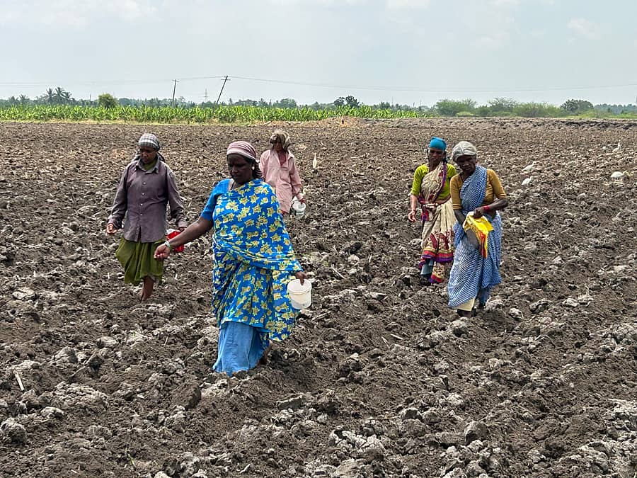 ಸಂಗ್ರಹ ಚಿತ್ರ