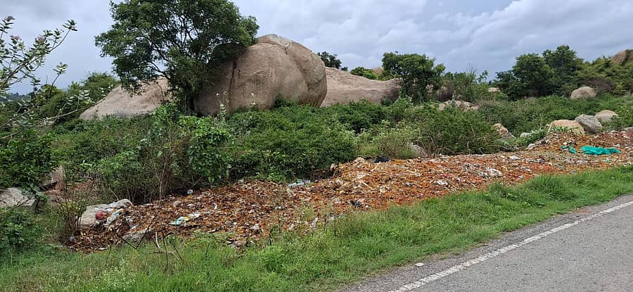 ಮುಳಬಾಗಿಲು ತಾಲ್ಲೂಕಿನ ಎನ್.ವಡ್ಡಹಳ್ಳಿ ಎಪಿಎಂಸಿ ಉಪ ಮಾರುಕಟ್ಟೆಯ ಕಸ ವಿಲೇವಾರಿ ಘಟಕಕ್ಕೆ ಗುರುತಿಸಲಾಗಿರುವ ಸ್ಥಳದಲ್ಲಿ ಗಿಡಗಂಟೆಗಳು ಬೆಳೆದಿರುವುದು