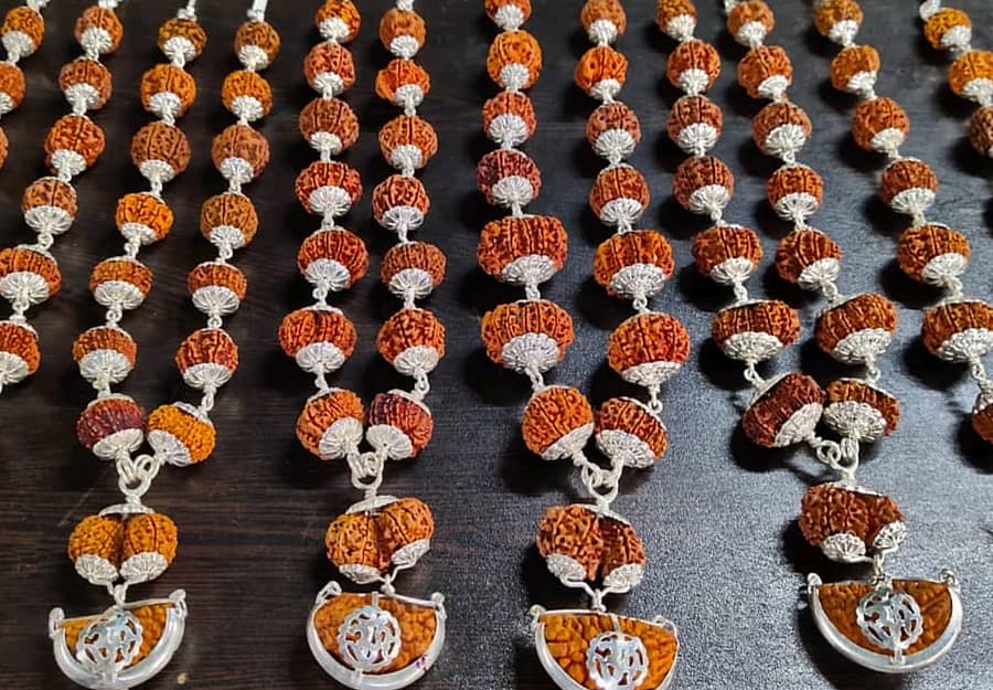 ರುದ್ರಾಕ್ಷಿ