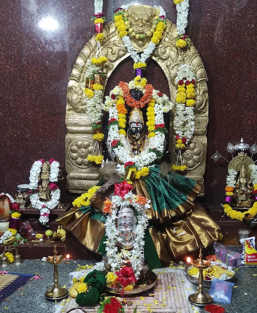 ಚಿನ್ನದ ಕಿರೀಟಧಾರಣೆ ಮಾಡಿದ ಭ್ರಮರಾಂಬದೇವಿ ಮೂರ್ತಿ