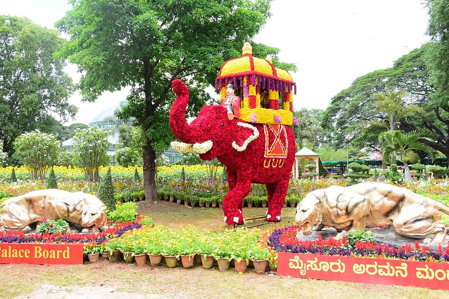 ಮೈಸೂರಿನ ಕುಪ್ಪಣ್ಣ ಉದ್ಯಾನದಲ್ಲಿ ಆಯೋಜಿಸಿರುವ ಪುಷ್ಪ ಪ್ರದರ್ಶನದಲ್ಲಿ ಗಮನಸೆಳೆದ ‘ಹೂವಿನ ಅಂಬಾರಿ’