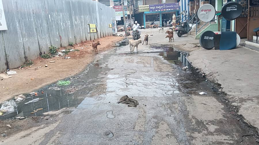 ಚಿತ್ರದುರ್ಗದ ವೀರ ಸಾವರ್ಕರ್ ರಸ್ತೆಯಲ್ಲಿ ಮ್ಯಾನ್ಹೋಲ್ ಉಕ್ಕಿ ಕೊಳಚೆ ನೀರು ರಸ್ತೆಯಲ್ಲಿ ಹರಿಯುತ್ತಿರುವುದು