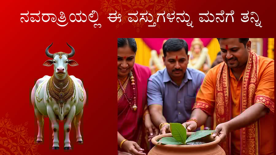 <div class="paragraphs"><p>ಎಐ ಚಿತ್ರ</p></div>