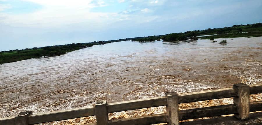 ಕಮಲನಗರ ತಾಲ್ಲೂಕಿನ ಸಂಗಮ ಕ್ರಾಸ್ ಬಳಿಯ ಮಾಂಜ್ರಾ ನದಿ ತುಂಬಿ ಹರಿಯುತ್ತಿರುವುದು 