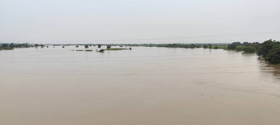 ಬೀದರ್ ಜಿಲ್ಲೆಯ ಔರಾದ್ ತಾಲ್ಲೂಕಿನ ಕೌಠಾ ಸಮೀಪ ಮಾಂಜ್ರಾ ನದಿ ಅಪಾಯದ ಮಟ್ಟ ಮೀರಿ ಹರಿಯುತ್ತಿದೆ. ನದಿಗೆ ಹೊಂದಿಕೊಂಡಿರುವ ಜಮೀನುಗಳೆಲ್ಲ ಜಲಾವೃತವಾಗಿವೆ