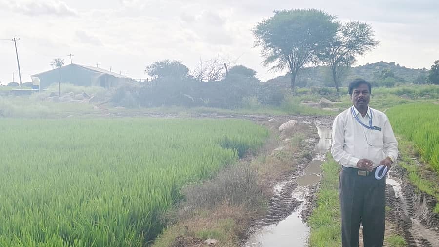 ತೆಕ್ಕಲಕೋಟೆ ಪಟ್ಟಣದ ದೇವಿನಗರದ19ನೇ ವಾರ್ಡಿನ ಲೊಕೇಷನ್ ಮ್ಯಾಪಿಂಗ್ ಮೂಲಕ ಸಾಮಾಜಿಕ ಮತ್ತು ಶೈಕ್ಷಣಿಕ ಸಮೀಕ್ಷೆಗೆ ತೆರಳಿದ ಶಿಕ್ಷಕ ದೂರದ ಹೊಲಗದ್ದೆಗಳ ನಡುವಿನ ಕುರಿ ಹಟ್ಟಿಗೆ ತಲುಪಿದರು