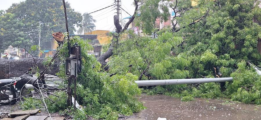 <div class="paragraphs"><p>ಕಲಬುರಗಿ ‌ನಗರದ‌ಲ್ಲಿ ಶುಕ್ರವಾರ ‌ಧಾರಾಕಾರ‌ ಮಳೆಯಿಂದ ಮರವೊಂದು ಧರೆಗೆ ಉರುಳಿರುವುದು</p></div>