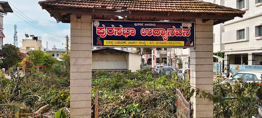 ಬೀರೂರಿನ ಬಸಪ್ಪ ಬಡಾವಣೆಯ ಪುರಸಭೆ ಉದ್ಯಾನದಲ್ಲಿ ಮರ ಕಡಿದಿರುವುದು