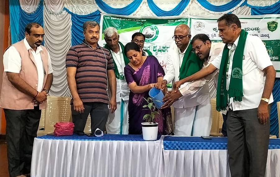 ಮಳವಳ್ಳಿ ಪಟ್ಟಣದ ಗಾಯಿತ್ರಿ ಮಂದಿರದಲ್ಲಿ ನಡೆದ ಕಾರ್ಯಕ್ರಮವನ್ನು ಕೇಂದ್ರ ಸರ್ಕಾರ ಗ್ರಾಮೀಣಾಭಿವೃದ್ದಿ ಇಲಾಖೆ ನಿರ್ದೇಶಕಿ ಎಸ್.ಎಂ.ರಾಜೇಶ್ವರಿ ಉದ್ಘಾಟಿಸಿದರು