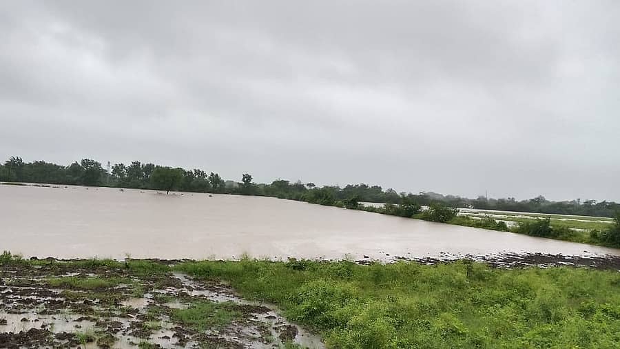 <div class="paragraphs"><p>ಚಿತ್ತಾಪುರ ತಾಲ್ಲೂಕಿನ ದಂಡೋತಿ ಹತ್ತಿರ ಹೊಲಗಳಿಗೆ ನುಗ್ಗಿರುವ ಕಾಗಿಣಾ ನದಿಯ ಭಾರಿ ಪ್ರವಾಹ...</p></div>