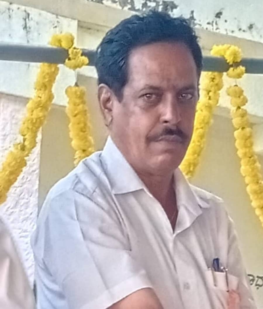 ವೈ.ವಿ. ರಾಮಕೃಷ್ಣ