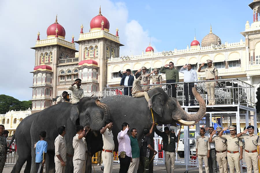 ಅರಮನೆಯಲ್ಲಿ ನಡೆದ ಜಂಬೂಸವಾರಿ ತಾಲೀಮಿನಲ್ಲಿ ಅಂಬಾರಿ ಆನೆ ಅಭಿಮನ್ಯು ಹಾಗೂ ಕುಮ್ಕಿ ಆನೆಗಳಾದ ಕಾವೇರಿ, ರೂಪಾಳಿಂದ ಅಧಿಕಾರಿಗಳು ಗೌರವ ವಂದನೆ ಸ್ವೀಕರಿಸಿದರು (ಎಡಚಿತ್ರ). ಜಂಬೂಸವಾರಿ ಮೆರವಣಿಗೆ ತಾಲೀಮು ನಡೆಯುವಲ್ಲಿ ರಾಷ್ಟ್ರಗೀತೆ ಮೊಳಗಿದಾಗ ಫಿರಂಗಿಗಳಿಂದ ಸಿಡಿಸಿದ ‘ಕುಶಾಲತೋಪು’