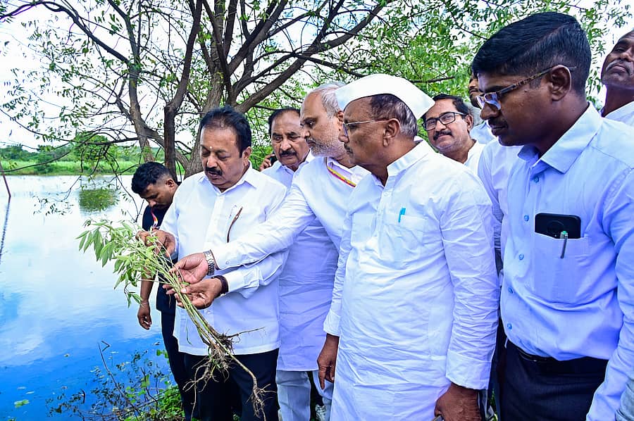 ಕಲಬುರಗಿ ಜಿಲ್ಲೆಯ ಆಳಂದ ತಾಲ್ಲೂಕಿನ ಕಡಗಂಚಿ ಬಳಿ ಕೃಷಿ‌ ಸಚಿವ‌ ಎನ್.ಚಲುವರಾಯಸ್ವಾಮಿ ಅವರು ಮಂಗಳವಾರ ಇತ್ತೀಚಿನ‌ ಮಳೆ ಮತ್ತು ಪ್ರವಾಹದಿಂದ ಹಾನಿಗೊಳಗಾದ ತೊಗರಿ ಬೆಳೆಯನ್ನು ವೀಕ್ಷಿಸಿದರು –ಪ್ರಜಾವಾಣಿ ಚಿತ್ರ