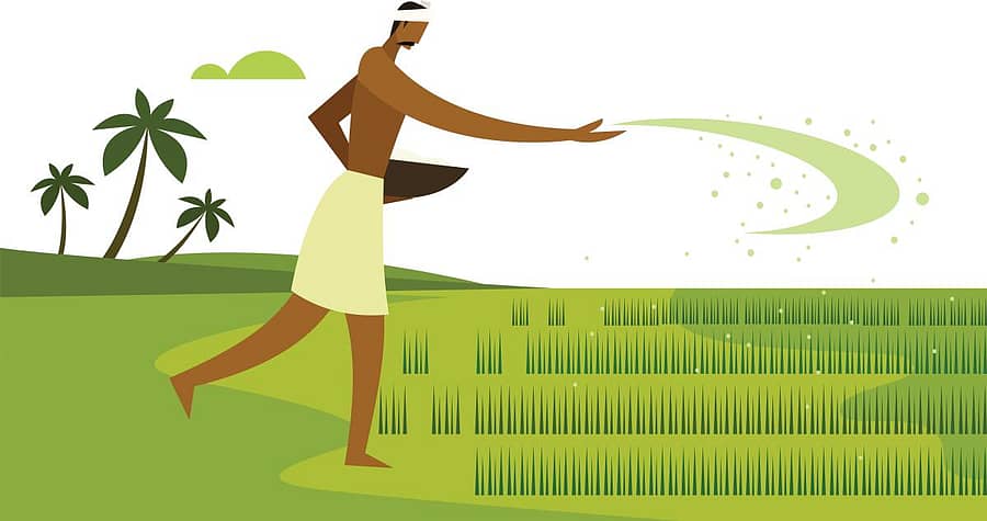 <div class="paragraphs"><p> ಗೊಬ್ಬರ?</p></div>